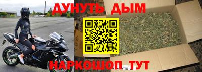 прущие грибы Краснознаменск