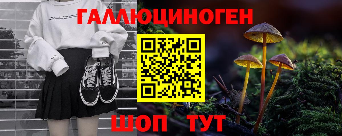 Псилоцибиновые грибы Psilocybine cubensis Ефремов