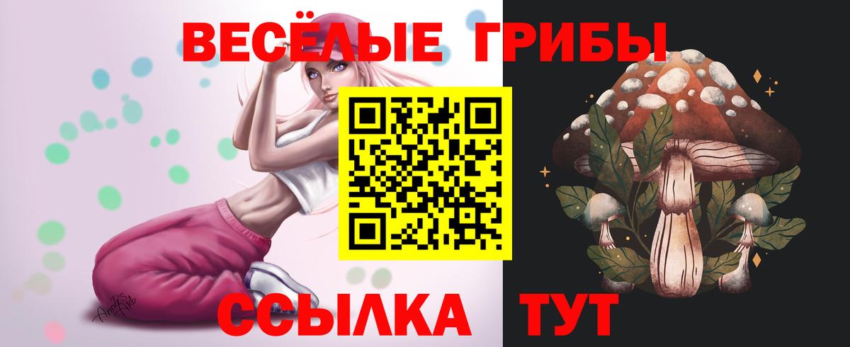Псилоцибиновые грибы мицелий  Вход с VPN  Ефремов 